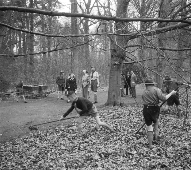 Schwarz-weiß-Bild von Menschen im Freien mit Stöcken zwischen Bäumen und abgefallenen Blättern.