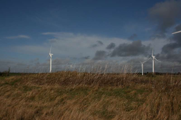 Ein Feld von Windkraftanlagen auf einer grünen Wiese mit Bäumen im Hintergrund und Wolken am Himmel, mit Textangabe des Standorts Niederlande.