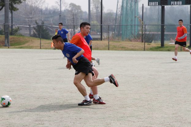 Spieler sind beim Fußballspielen auf einem Feld zu sehen, das von einem Maschendrahtzaun umgeben ist, mit Bäumen, Leitern und Strommasten auf der anderen Seite.