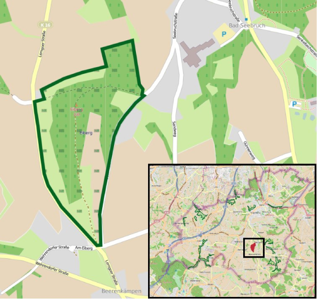 Karte einer Stadt mit einem zentralen grünen Bereich, der für eine geplante Entwicklung markiert ist, zeigt Straßen, Gebäude und Sehenswürdigkeiten.