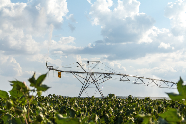 Ein Bewässerungssystem in einem grünen Feld mit einer Eisenrahmenkonstruktion im Vordergrund und einem bewölkten Himmel im Hintergrund.