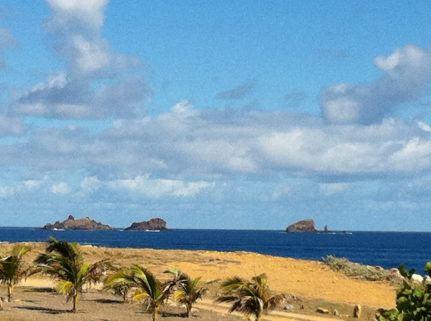 Eine Strandszene mit Palmen, grünem Gras, einem Gewässer und Bergen in der Ferne unter einem blauen und weißen Himmel.