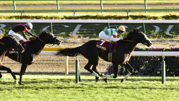 Zwei Jockeys auf Pferden beim Wettrennen auf einer Rennbahn, mit Helmen, umgeben von Grün, mit einer Absperrung und einer Tafel im Hintergrund.