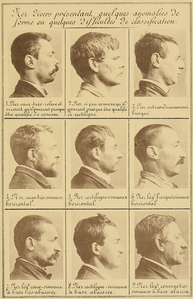 Ein altes Buch mit Abbildungen von Männergesichtern mit verschiedenen Hairstyles, begleitet von beschreibendem Text.