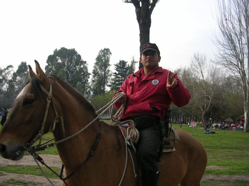 Eine Person, die ein Pferd reitet, mit Trees, Gras und einigen anderen Leuten im Hintergrund.