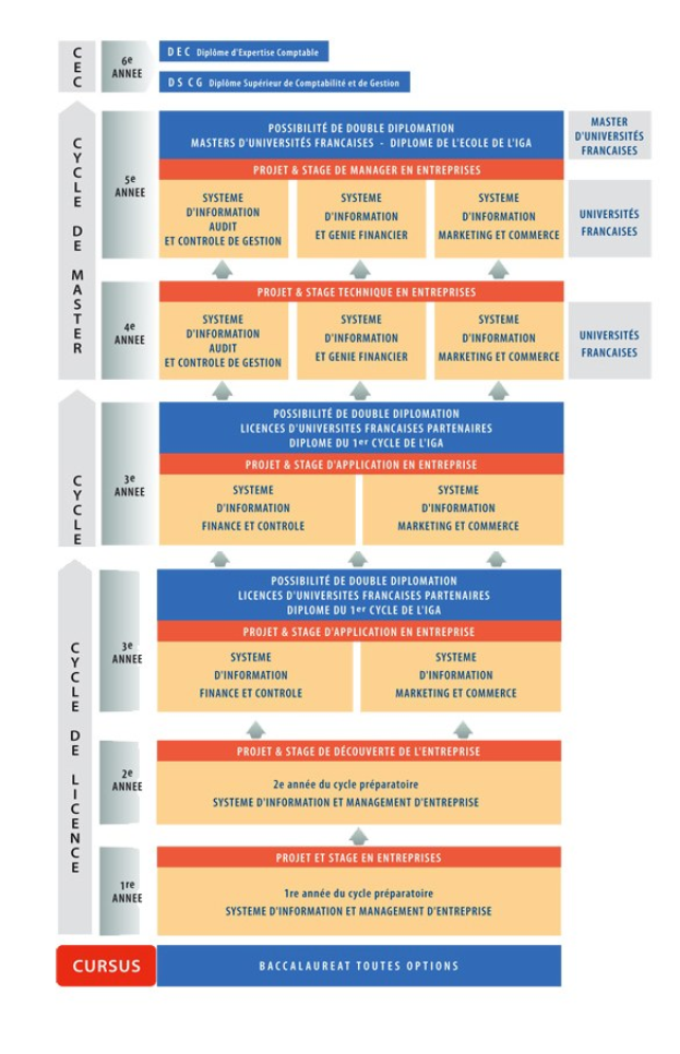 Diagramm, das die organisatorische Struktur eines Unternehmens mit interconnected boxes darstellt, die verschiedene Phasen des Geschäftswachstums und der Entwicklung darstellen, begleitet von beschreibendem Text.