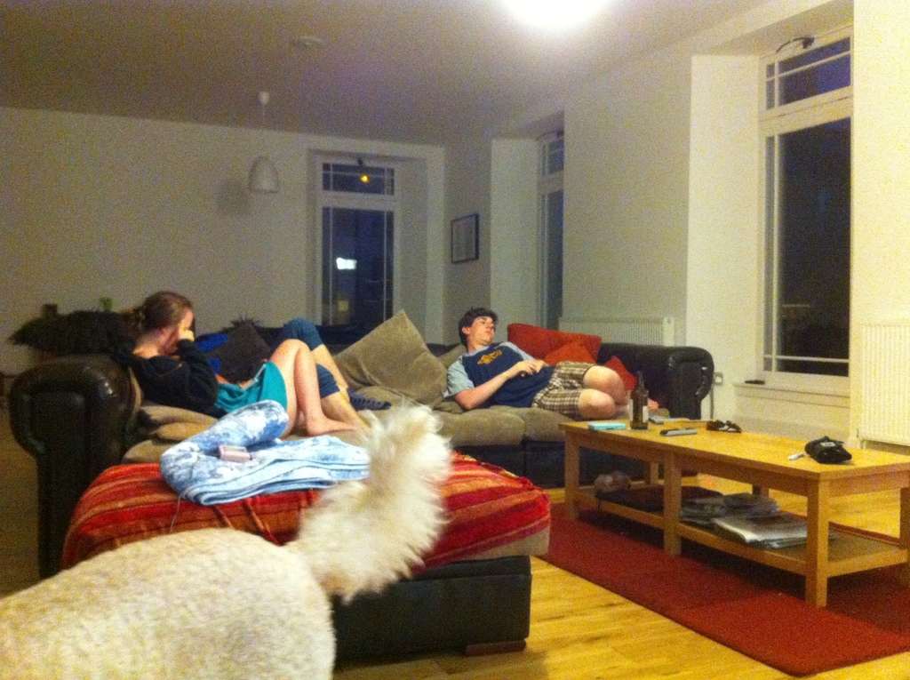 Ein Wohnzimmer mit einer Couch, besetzt von einem Hund, einer Frau und einem Mann, Tischen mit Kissen, Wasserflaschen, einer Fernbedienung, Büchern, Papieren und Stiften, Türen, Fenstern und Licht von oben.