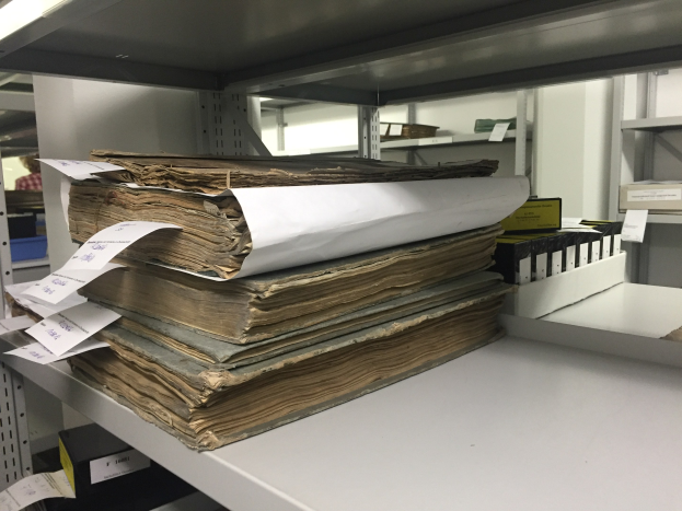 Stapel alter B%C3%BCcher mit angehefteten Papieren auf einem weißen Bibliothekregal, mit weiteren B%C3%BCchern und Gegenst%C3%A4nden im Hintergrund.