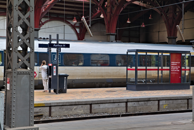 Ein Zug fährt auf einem Bahnsteig ein, neben einer Person, einem Müllbehälter, Pfosten, Informationsanzeigen und Deckenleuchten.