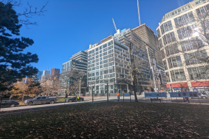 Eine belebte Toronto-Stadtstra├če mit hohen Geb├Ąuden, fahrenden Fahrzeugen, Passanten auf dem Gehweg, verstreuten B├Ąumen und trockenen Bl├Ąttern auf dem Boden unter einem sichtbaren Himmel.