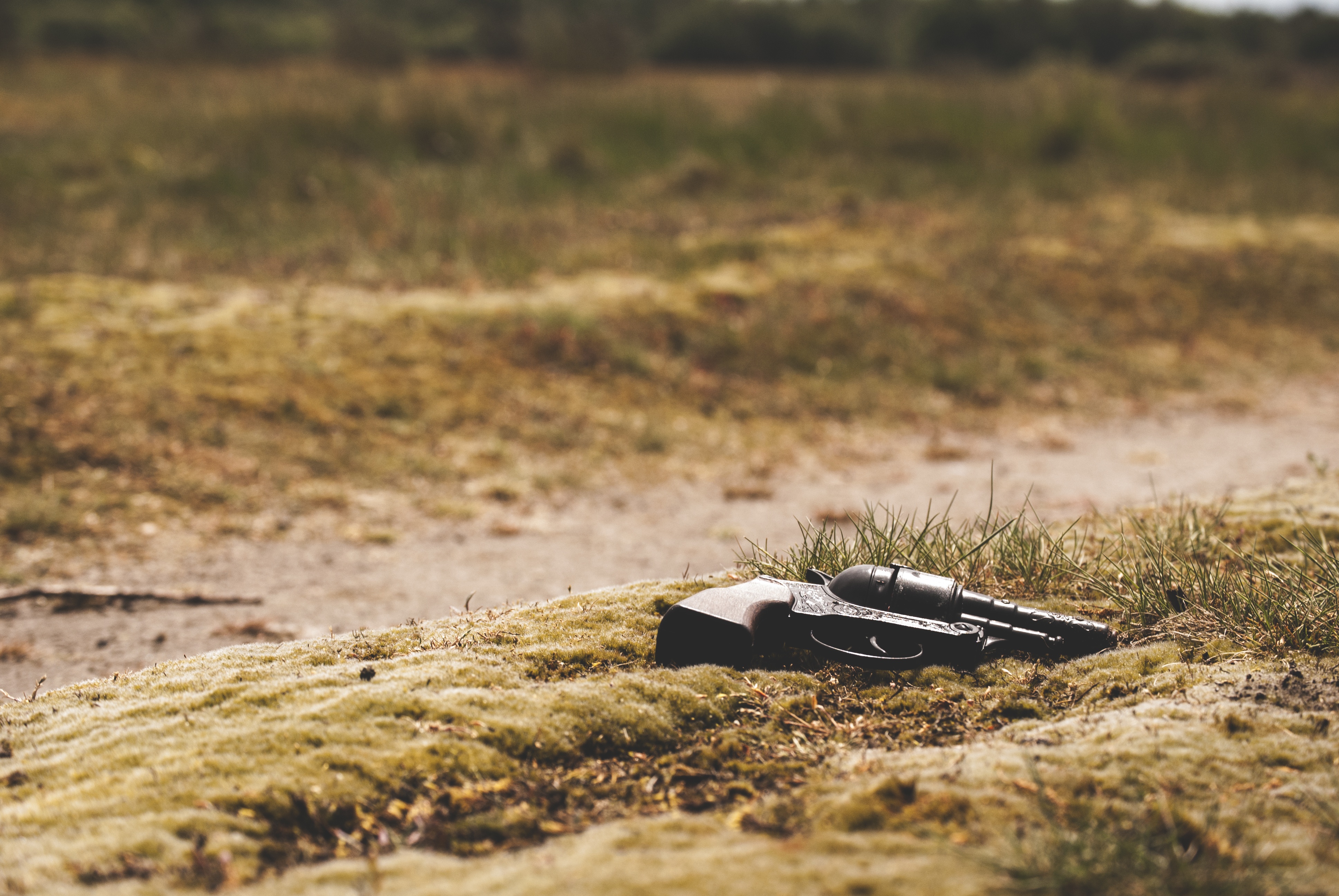 Ein Gewehr liegt auf einem grünen Feld, umgeben von Trees mit einem unscharfen Hintergrund.