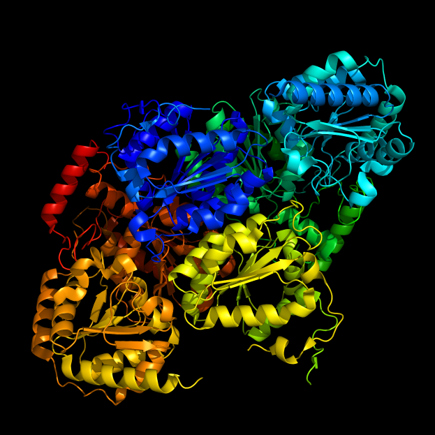 Ein 3D-Modell eines Proteinmoleküls in Form eines menschlichen Gehirns mit bunten Bändern auf schwarzem Hintergrund.