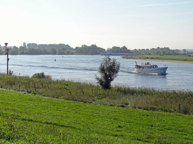 Ein Boot fährt einen von grünem Gras, Pflanzen und Blumen gesäumten Fluss entlang, mit Bäumen und einem klaren blauen Himmel im Hintergrund.