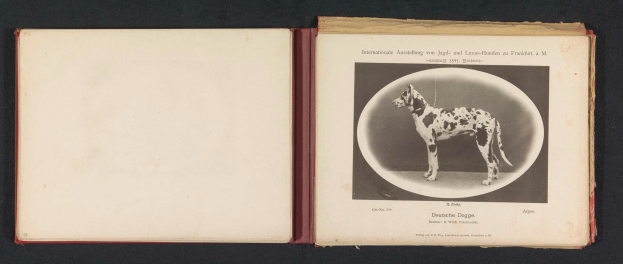 Ein aufgeschlagenes Buch mit dem Titel "Internationale Ausstellung von Jagd- und Luxus-Hunden nach Frankfurt a.M." mit einem Schwarz-Weiß-Foto eines Hundes und begleitendem Text.