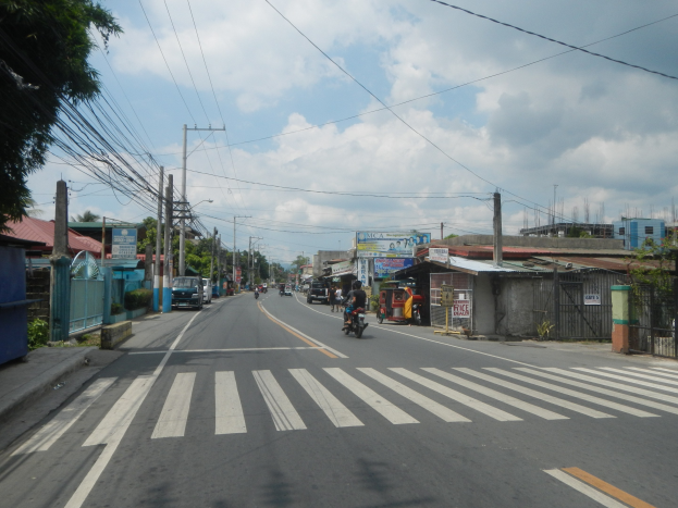 Stadtstraße mit Fahrzeugen, Zebrastreifen, Strommasten mit Drähten, Gebäuden, Bäumen und bewölktem Himmel.
