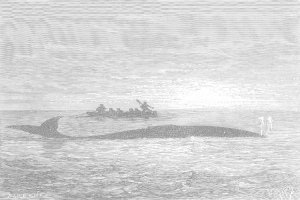 Schwarze und weiße Illustration eines Buckelwals, der im Meer schwimmt, mit einem Boot im Hintergrund, das mit Menschen gefüllt ist, mit der Beschriftung "Buckelwal von William Hogarth" unten.