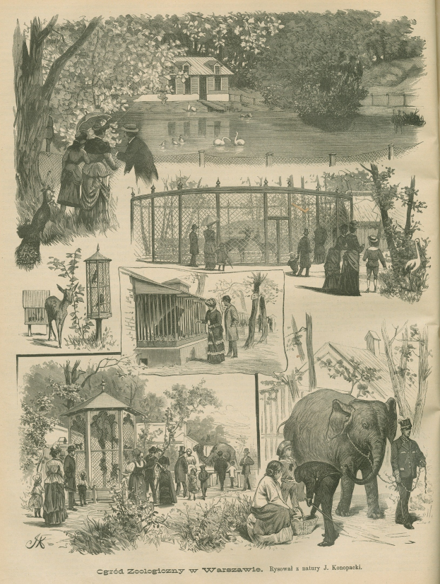 Illustration eines alten Buches mit einer Zoo-Szene mit Menschen, Tieren, Bäumen, Häusern, einem Zaun und anderen Gegenständen, mit Text unten.