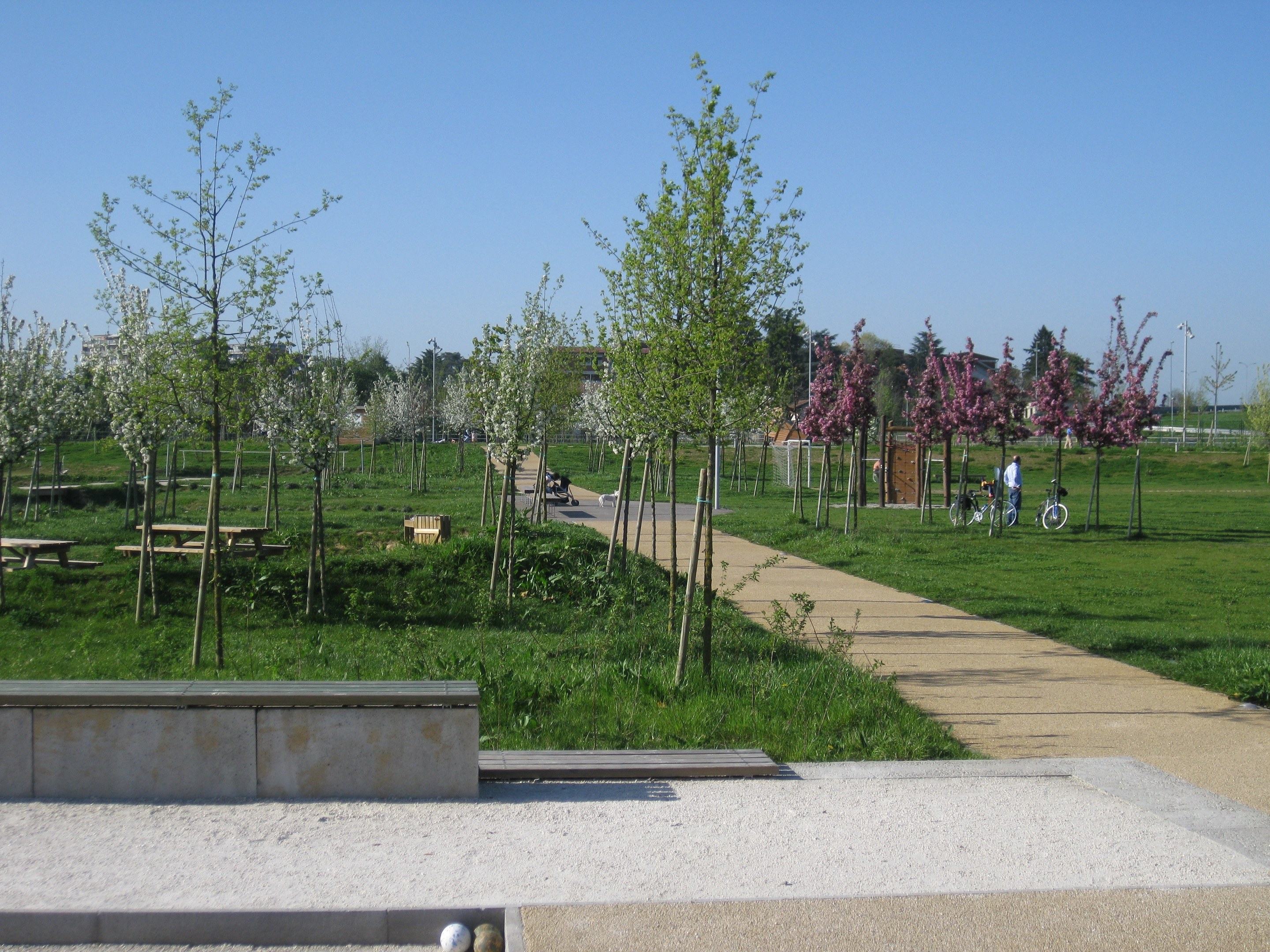 Ein parkartiger Weg, gesäumt von Bäumen und Bänken, auf dem Menschen Fahrräder fahren; im Hintergrund sind Gebäude und ein klarer blauer Himmel zu sehen, während der Boden mit saftigem grünen Gras bedeckt ist.
