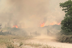 Ein großes Feuer brennt in der Mitte einer Schotterstraße umgeben von Bäumen und Pflanzen, mit Rauch, der in den Himmel aufsteigt, in einer ländlichen Gegend.