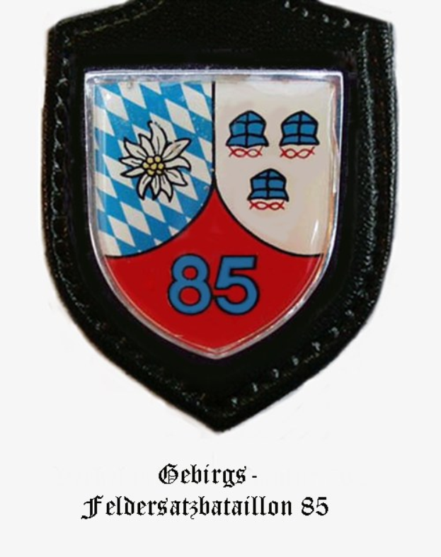 Ein runder Aufnäher mit der Zahl 85 und deutschem Text unten, der das Logo von FC Bayern München darstellt.