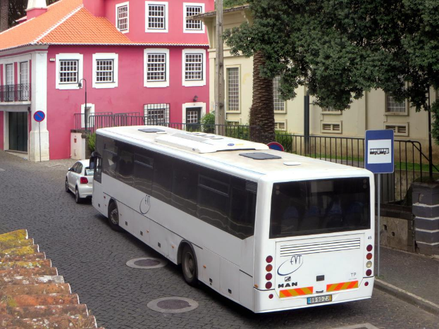 Fahrzeuge auf einer Straße mit Pfosten, Schildern und Absperrungen im Hintergrund, dahinter Bäume, Pflanzen und Gebäude.