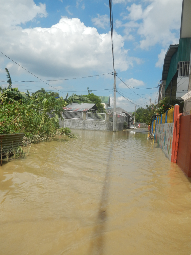 Eine überflutete Stadtstraße mit Wasser auf der Straße, Pflanzen und Bäumen auf der linken Seite, Gebäuden auf der rechten Seite, Strommasten mit Drähten im Hintergrund und einem bewölkten Himmel oben.
