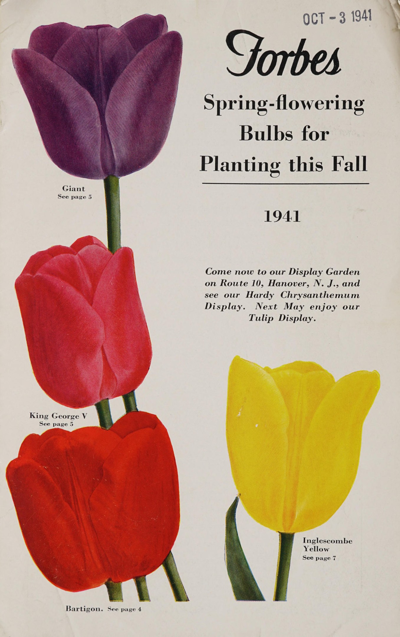 Plakat aus dem Jahr 1941 mit drei Tulpen in Rot, Gelb und Lila, symmetrisch gegen einen weißen Hintergrund angeordnet, mit der Aufschrift "Forbes Frühlingsblüher für die Pflanzung in diesem Herbst 1941" oben.