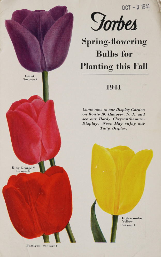 Plakat aus dem Jahr 1941 mit drei Tulpen in Rot, Gelb und Lila, symmetrisch gegen einen weißen Hintergrund angeordnet, mit der Aufschrift "Forbes Frühlingsblüher für die Pflanzung in diesem Herbst 1941" oben.