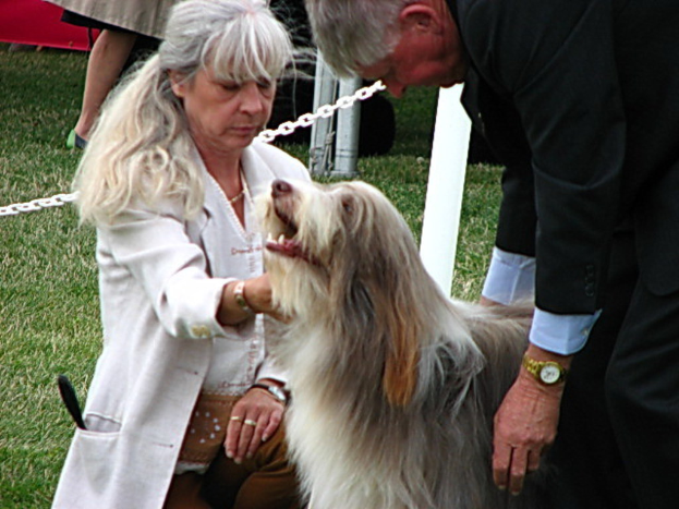 Eine Frau in einer wei├čen Jacke h├Ąlt einen Hund, mit einer Person in einem schwarzen Anzug hinter dem Hund, alles auf Gras, und einer weiteren Person in der Ferne.