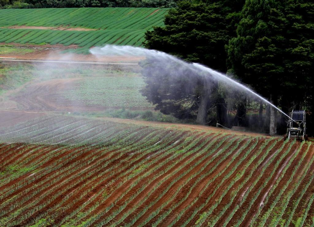 Landwirtschaftliches Feld mit verschiedenen Kulturen, einer Beregnungsmaschine im Vordergrund und einer Baumreihe mit weiteren Kulturen im Hintergrund.